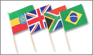 International 12x18in Stick Flags