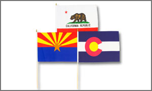 US State 12x18in Stick Flags