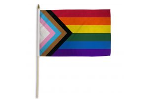 Progress Pride 12x18in Stick Flag