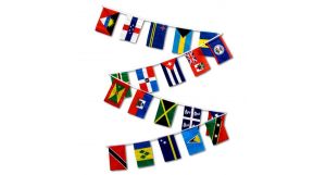 30ft String Flag Set of 20 Caribbean Country Flags