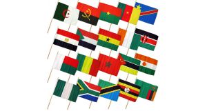 (12x18in) Set of 20 African Stick Flags