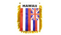Hawaii Mini Banner