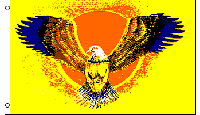 Eagle (Yellow) Flag 3x5ft Poly