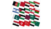 (12x18in) Set of 20 Middle East Stick Flags