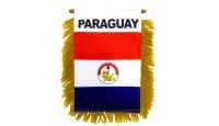 Paraguay Mini Banner