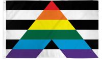Gay Straight Alliance Flag 2x3ft Poly