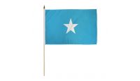 Somalia 12x18in Stick Flag